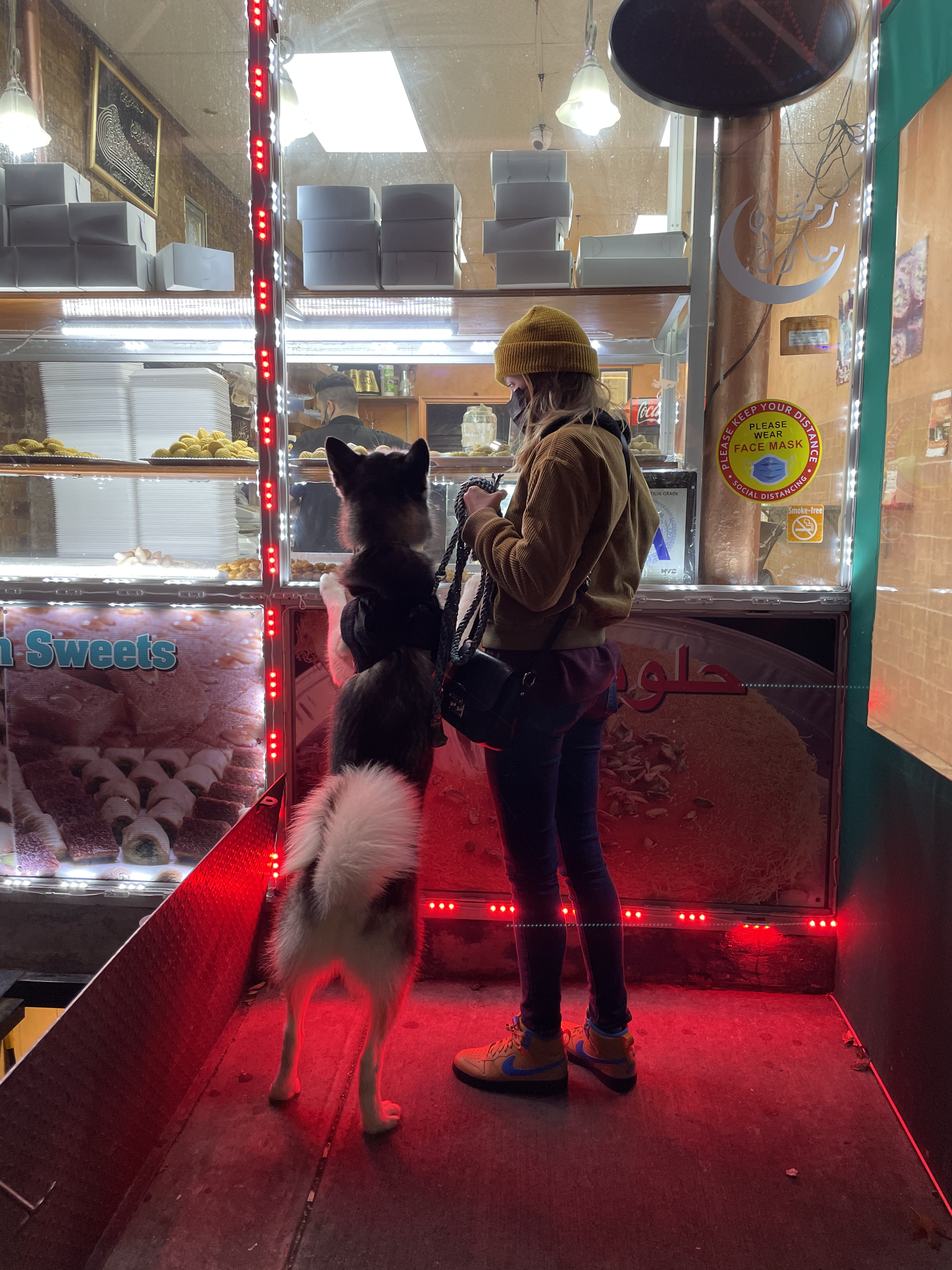 Ordering Baklava with the dog in Queens